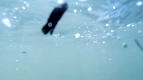 Underwater Stock Footage 24915894