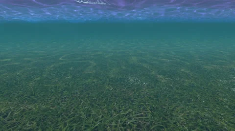 Underwater Stock-Footage 26072277