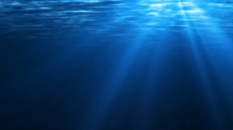 Underwater 스톡 동영상 27245729