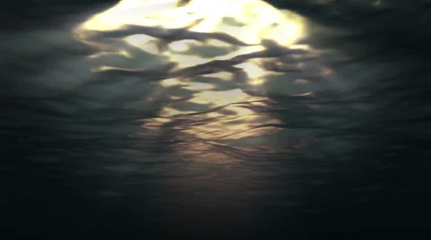 Underwater  Stock Footage 47006631