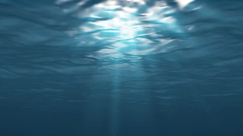 Underwater Stock Footage 96284220