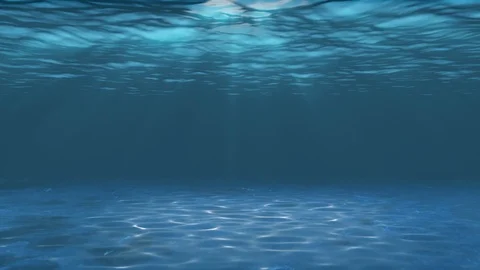 Underwater Stock Footage 96286190