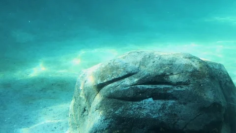 Underwater Stock Footage 120634998