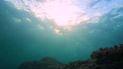 Underwater Stock Footage 137213473