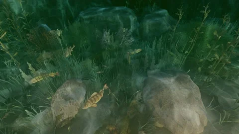 Underwater Stock-Footage 143587333