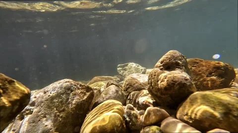 Underwater 库存影片 197481104