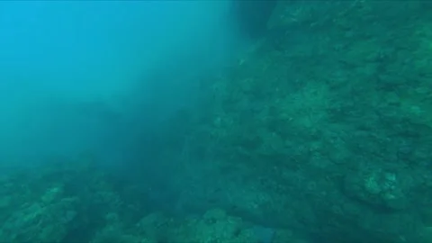 Underwater Stock Footage 197570722