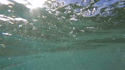 Underwater Stock Footage 227856409