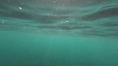 Underwater Stock Footage 258501927