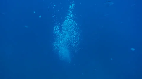 Underwater footage air bubbles corsica corse mediterranean Stock Footage