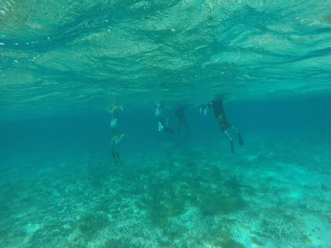 Underwater footage of the Caribbean Stock Footage