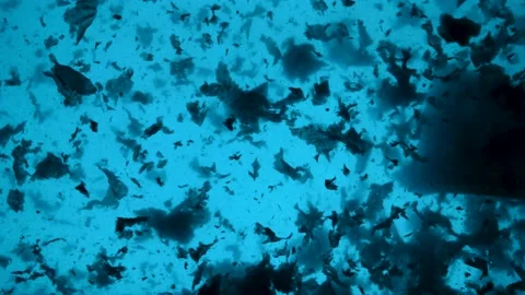 Underwater footage of pollution problem concept in ocean. 스톡 동영상 154489297
