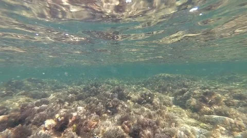 Underwater footage with sun rays, slow motion, full hd Stock Footage 112095579