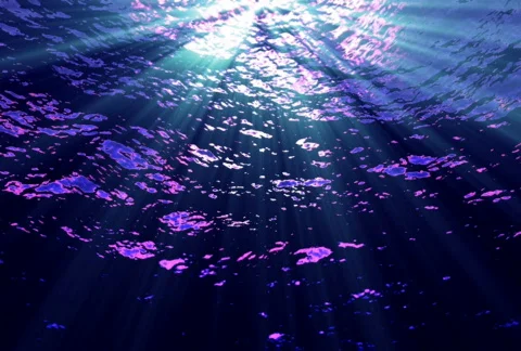 Underwater FX03 NTSC Stock Footage