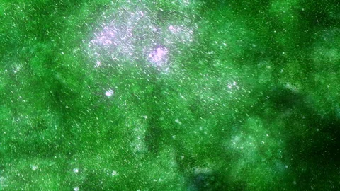 Underwater green algae bloom with drifting particles and sunlight shimmer Stock Footage 332108484