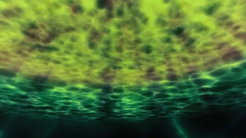 Underwater Green Stock Footage 136875968