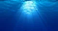 UNDERWATER HD HD Footage