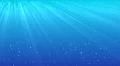 Underwater HD HD Footage