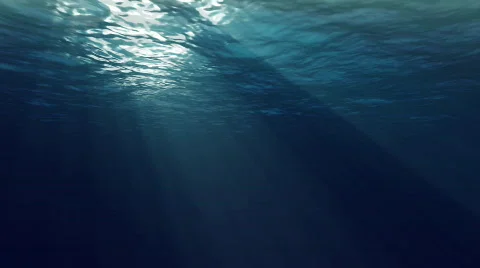 Underwater HD loop Video stock 774478