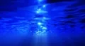 Underwater HD01 Slow Motion Loop HD Footage