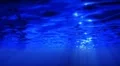 Underwater HD05 Slow Motion Loop HD Footage