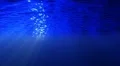 Underwater HD09 Slow Motion Loop HD Footage