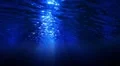 Underwater HD10 Slow Motion Loop HD Footage