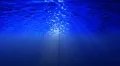 Underwater HD11 Slow Motion Loop HD Footage