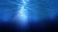 Underwater HD12 Slow Motion Loop HD Footage