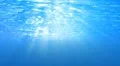 Underwater HD19 Slow Motion Loop HD Footage