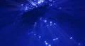 Underwater HD24 Slow Motion Loop HD Footage
