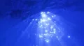 Underwater HD25 Slow Motion Loop HD Footage