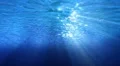 Underwater HD27 Slow Motion Loop HD Footage