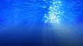 Underwater HD29 Slow Motion Loop HD Footage