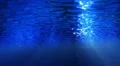 Underwater HD31 Slow Motion Loop HD Footage