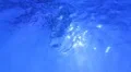 Underwater HD32 Slow Motion Loop HD Footage
