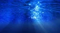 Underwater HD34 Slow Motion Loop HD Footage