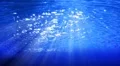 Underwater HD36 Slow Motion Loop HD Footage