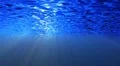 Underwater HD37 Slow Motion Loop HD Footage