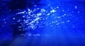 Underwater HD38 Slow Motion Loop HD Footage