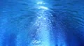 Underwater HD43 Slow Motion Loop HD Footage