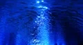 Underwater HD44 Slow Motion Loop HD Footage