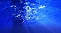 Underwater HD45 Slow Motion Loop HD Footage