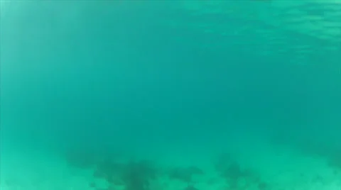 Underwater hold Stock Footage 24358185