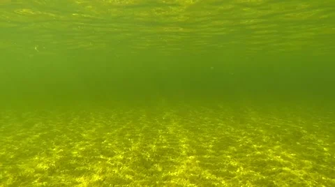 Underwater horizon Stock Footage 49702353