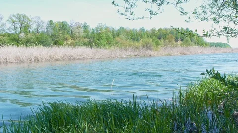 Underwater hunter floats on the surface of a small river Stock Footage 104446030