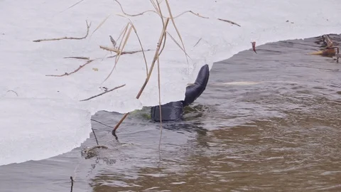 Underwater hunter is looking for the edge of the ice floe Stock Footage 102806082
