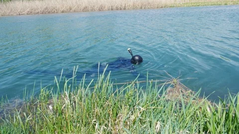 Underwater hunter on the surface of a small river Stock Footage 104446183