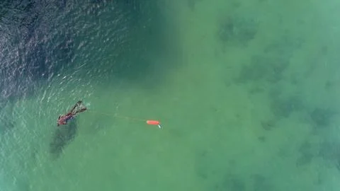 Underwater hunter on the surface of the water while hunting on the Atlantic Sea Stock Photos