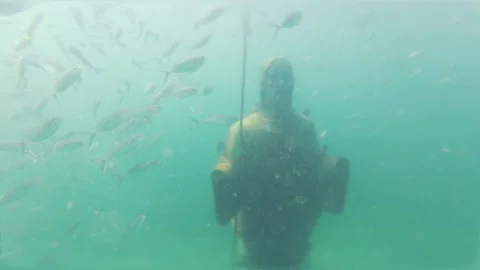 Underwater Jesus Statue School of Fish Playa Las Gatas Mexico Video stock 330801951